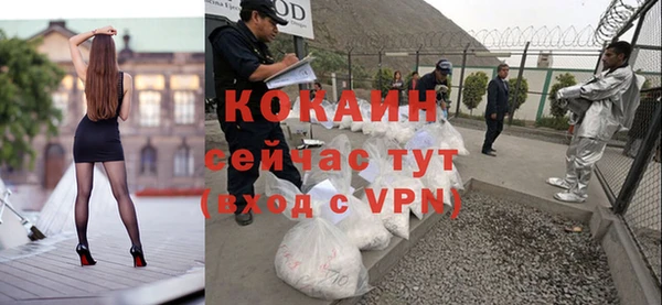 гашик Костерёво